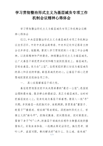 学习贯彻整治形式主义为基层减负专项工作机制会议精神心得体会