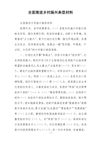 全面推进乡村振兴典型材料