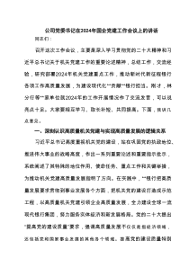 公司党委书记在2025年国企党建工作会议上的讲话精选（3篇）