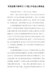 市发改委干部学习二十届三中全会心得体会