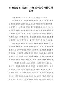 市委宣传学习党的二十届三中全会精神心得体会