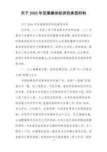 关于2025年发展集体经济的典型材料