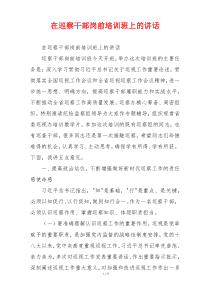 在巡察干部岗前培训班上的讲话