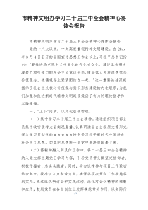 市精神文明办学习二十届三中全会精神心得体会报告
