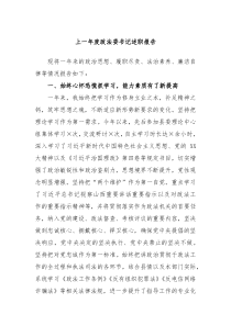 上一年度政法委书记述职报告
