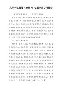 支部书记观看《榜样9》专题节目心得体会