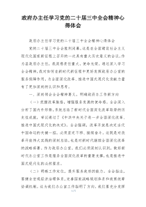 政府办主任学习党的二十届三中全会精神心得体会
