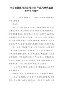 市自然资源局某分局2025年党风廉政建设半年工作报告