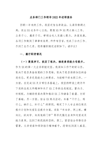 业务部门工作领导20XX年述职报告