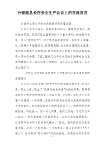 分管副县长在安全生产会议上的交流发言
