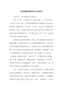 在某街镇品牌发布会上的讲话