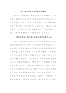 个人20XX年度述职述廉述学报告