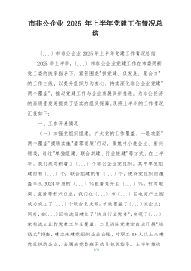 市非公企业 2025 年上半年党建工作情况总结