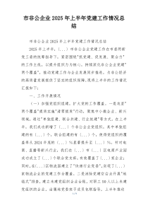 市非公企业2025年上半年党建工作情况总结