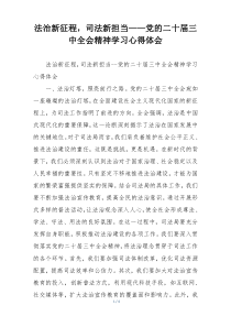 法治新征程，司法新担当——党的二十届三中全会精神学习心得体会