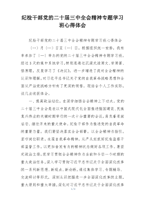 纪检干部党的二十届三中全会精神专题学习班心得体会