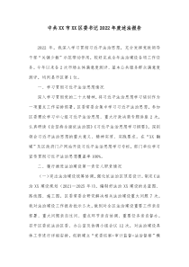 中共XX市XX区委书记20XX年度述法报告