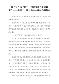 铆“劲”出“招”，写好改革“组织篇章”——学习二十届三中全会精神心得体会