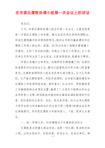 在市委反腐败协调小组第一次会议上的讲话