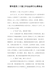 青年团员二十届三中全会学习心得体会