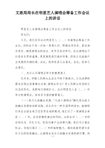 文旅局局长在明星艺人演唱会筹备工作会议上的讲话