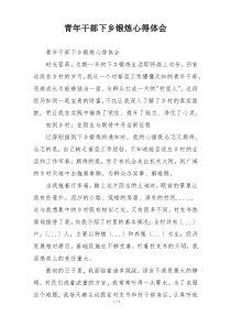 青年干部下乡锻炼心得体会