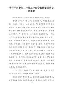 青年干部参加二十届三中全会宣讲培训后心得体会