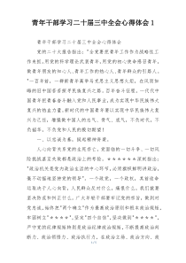 青年干部学习二十届三中全会心得体会1