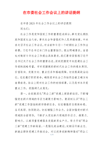 在市委社会工作会议上的讲话提纲