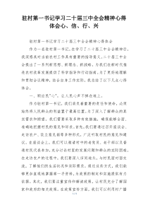 驻村第一书记学习二十届三中全会精神心得体会心、信、行、兴