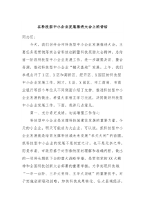 在科技型中小企业发展推进大会上的讲话
