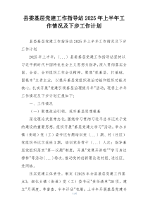 县委基层党建工作指导站2025年上半年工作情况及下步工作计划