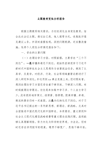 主题教育党性分析报告2