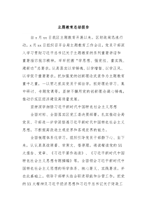 主题教育总结报告