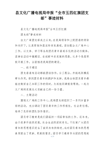 县文化广播电视局申报“全市五四红旗团支部”事迹材料