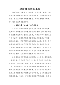 主题教育整改落实回头看报告