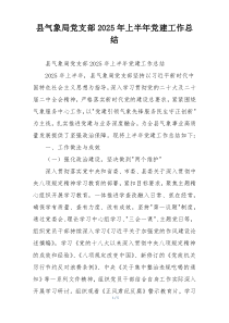 县气象局党支部2025年上半年党建工作总结