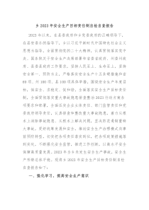 乡20XX年安全生产目标责任制自检自查报告