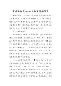 乡人民政府关于20XX年法治政府建设的情况报告