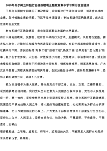 四篇 2025年关于树立和践行正确政绩观专题教育集中学习研讨发言提纲范文