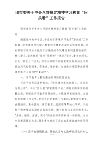 团市委关于中央八项规定精神学习教育“回头看”工作报告