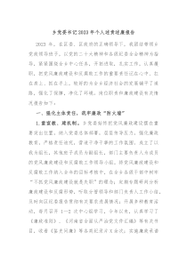 乡党委书记20XX年个人述责述廉报告