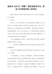 某某市2025年“两新”组织党组织书记、党务工作者培训班上的讲话