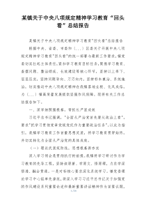 某镇关于中央八项规定精神学习教育“回头看”总结报告