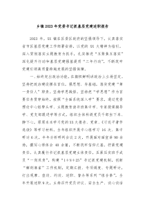 乡镇20XX年党委书记抓基层党建述职报告