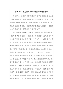 乡镇20XX年度安全生产工作责任制述职报告