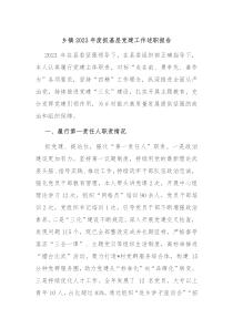 乡镇20XX年度抓基层党建工作述职报告