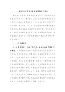 乡镇20XX年度法治政府建设情况的报告