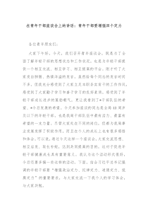 在青年干部座谈会上的讲话青年干部要增强四个定力