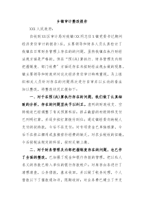 乡镇审计整改报告